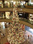 05.jpg
