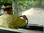 062.JPG