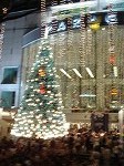 20061224orchard12.jpg