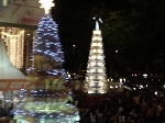 20061224orchard13.jpg