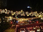 20061224orchard4.jpg
