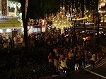 20061224orchard5.jpg