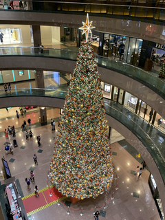 60039E2C-2C38-40A0-A396-3018B36FE960.jpg