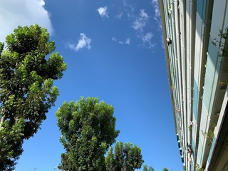 605E5268-81D1-4F0F-A6F0-C86EDBC4E2D9.jpeg
