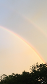 893BD998-C299-432C-B143-D423AF75A512.png
