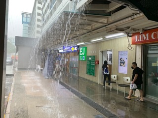 A361E7A7-2F3A-490F-A052-2421CB64D9A2.jpeg