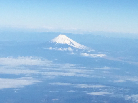 A9FA5767-FF3C-4479-AD81-DF0E6BB46EE6.jpg