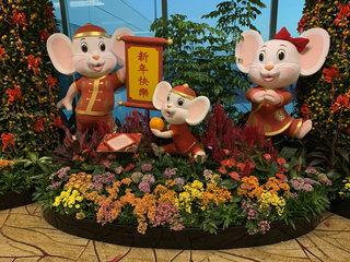 C1CF75F0-C101-4C29-BF17-D5C5F7955333.jpg