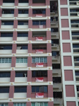 HDBflag1.JPG