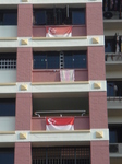 HDBflag2.JPG