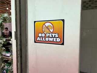 IMG_0178.jpeg