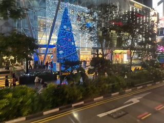 IMG_0753.jpeg