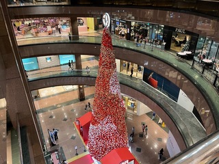 IMG_4686.jpeg