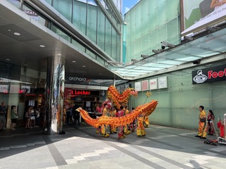IMG_8243.jpeg