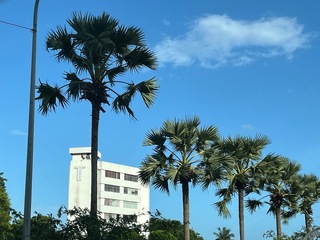 IMG_8251.jpeg