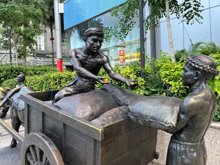 IMG_8255.jpeg