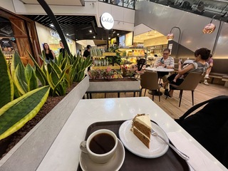 IMG_8785.jpeg