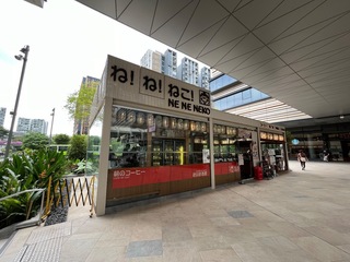 IMG_8838.jpeg