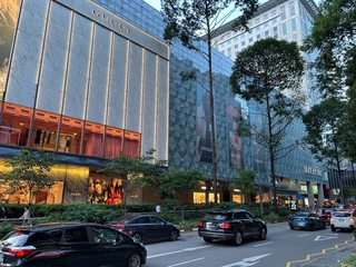IMG_8899.jpeg