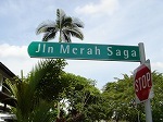 Jlnmerah saga1.jpg