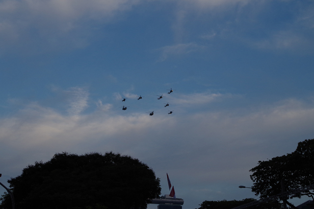 NDP(8).JPG