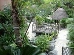 adampark6.jpg