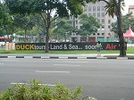 balloom1.jpg