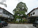 banguanpark2.jpg