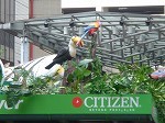 birdcitizen3.jpg