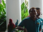 birdshow1.jpg