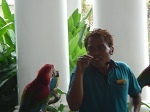 birdshow2.jpg