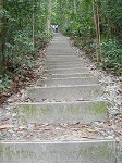 bttimahstairs.jpg