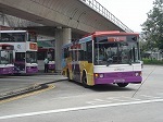 busauston1.jpg
