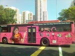 busmustafa1.jpg