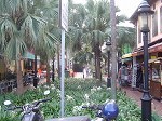 bussorahstreet1.jpg