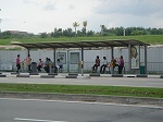busstopnew3.jpg