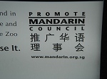 chinesecool2.jpg