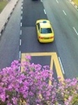 citycabhyndai.jpg