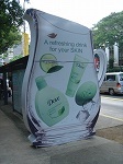dove1.jpg
