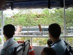 ducktour7.jpg