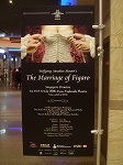 figaro1.jpg