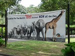 giraff.jpg