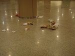 gomifloor.jpg