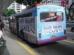 hogsbus3.jpg