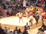 kaiou800.JPG
