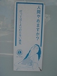 kakuseizai.jpg