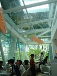 line2.jpg