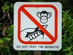 macritchie10.jpg