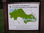 macritchie3.jpg