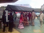 malayharegi2.jpg